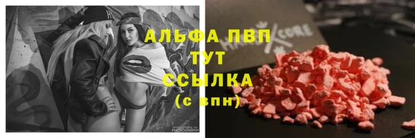 сатива Волоколамск